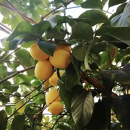 Appartement Art In El Limonar De La Ribera Parking